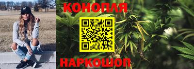 мдпв Нальчик